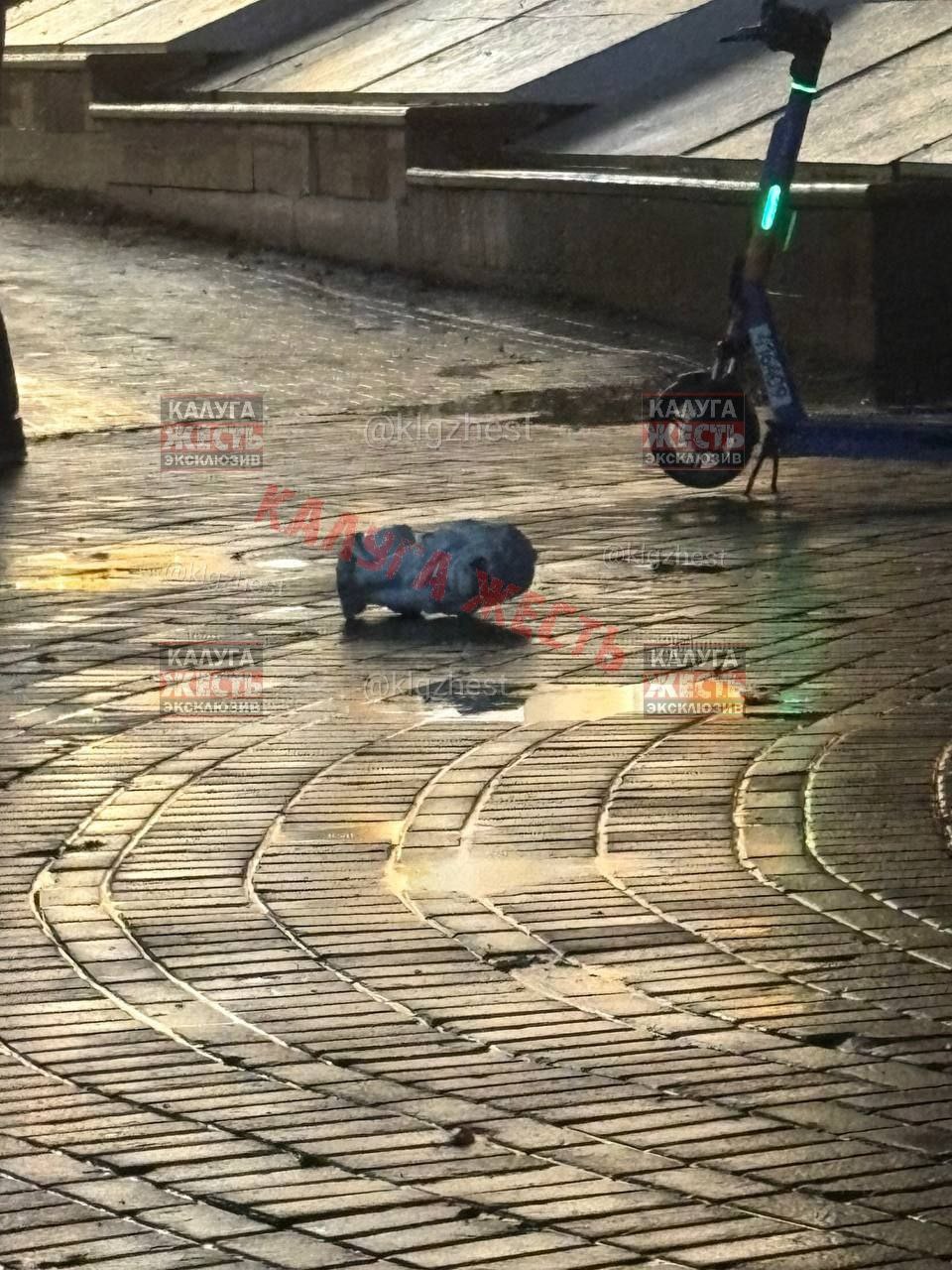 13-летняя школьница будет отвечать за порчу скульптуры льва в центре Калуги 13-летняя школьница будет отвечать за порчу скульптуры льва в центре Калуги