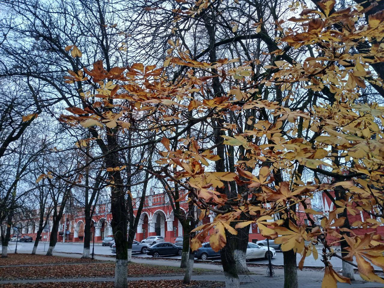 В Калужской области потеплеет