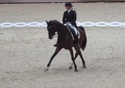 Калужские наездницы выиграли медали в Москве