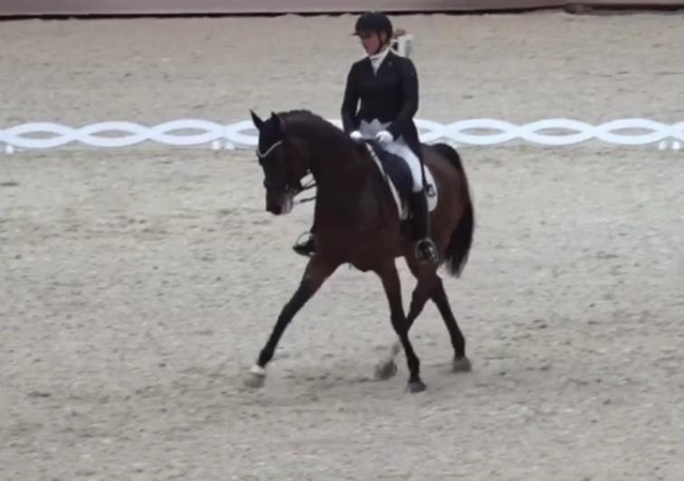 Калужские наездницы выиграли медали в Москве