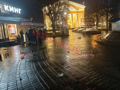 13-летняя школьница будет отвечать за порчу скульптуры льва в центре Калуги