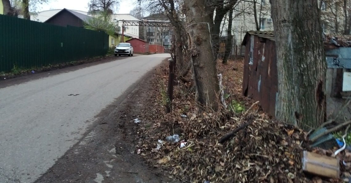 Калужанин попросил убрать сараи и обустроить тротуар