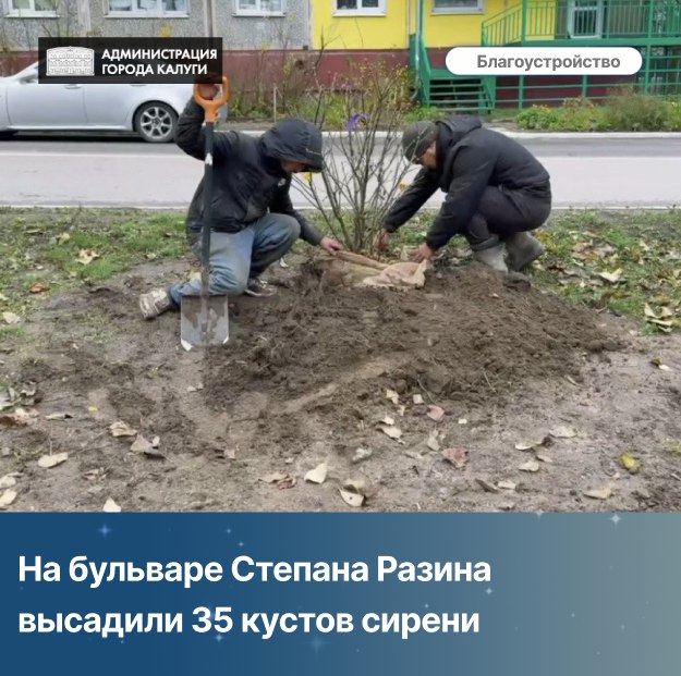 В Калуге продолжаются работы по озеленению