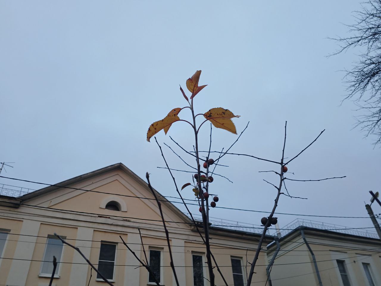 Стало известно, когда в Калугу придет зимняя погода