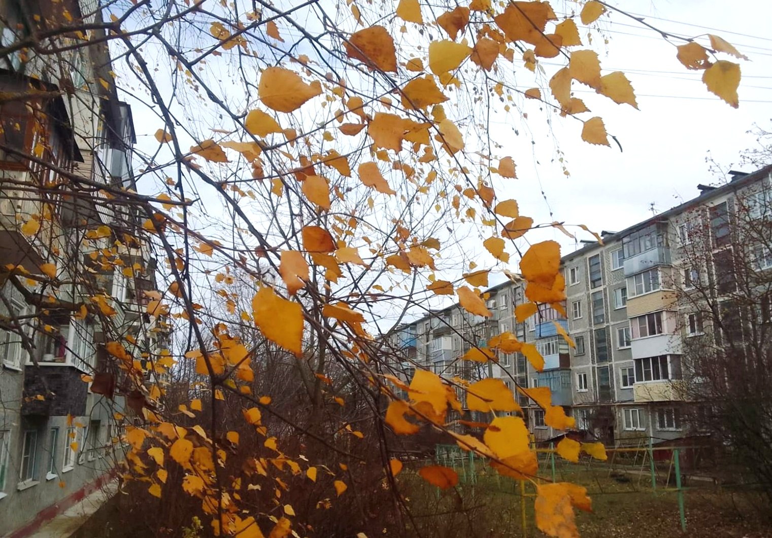 Метеорологи предупреждают о геомагнитной буре в Калужской области