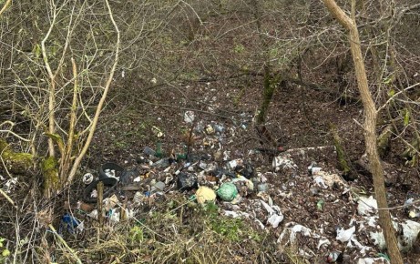 Жительница Калужской области попросила организовать уборку несанкционированной свалки