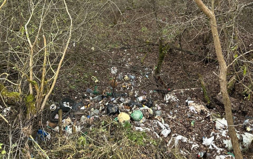 Жительница Калужской области попросила организовать уборку несанкционированной свалки