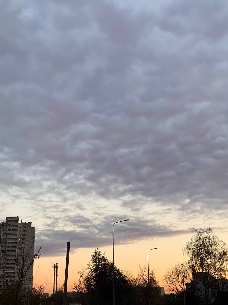 Сегодня прогнозируют пасмурную погоду, небольшой дождь