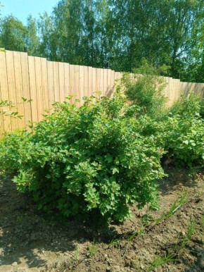 Споры о заборе: как защитить свои права на дачном участке