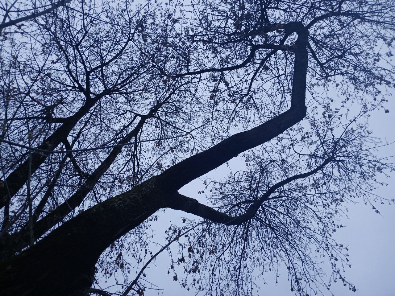 Беспилотник атаковал Калужскую область