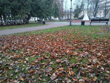 В Калужской области ожидается пасмурная, но сухая погода