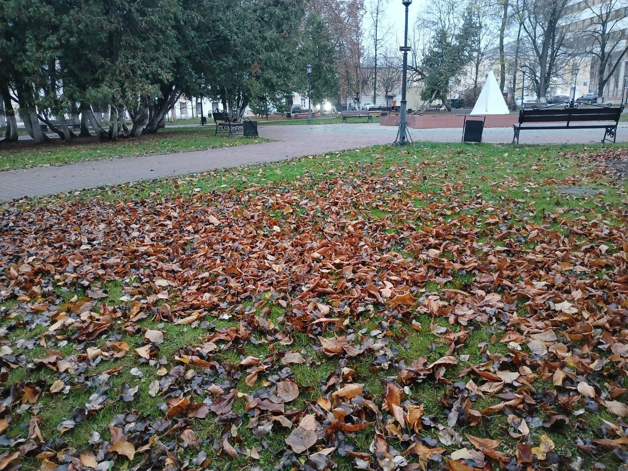 В Калужской области ожидается пасмурная, но сухая погода