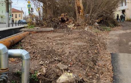 Калужанка попросила благоустроить территорию на улице Пушкина