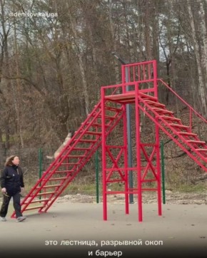 Новая площадка для дрессировки собак появилась в Калуге