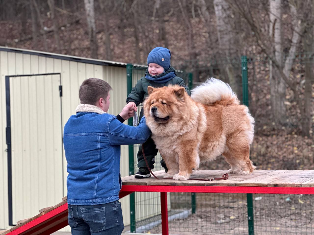 Дмитрий Денисов: Новая площадка для четвероногих друзей — вместо старой Дмитрий Денисов: Новая площадка для четвероногих друзей — вместо старой