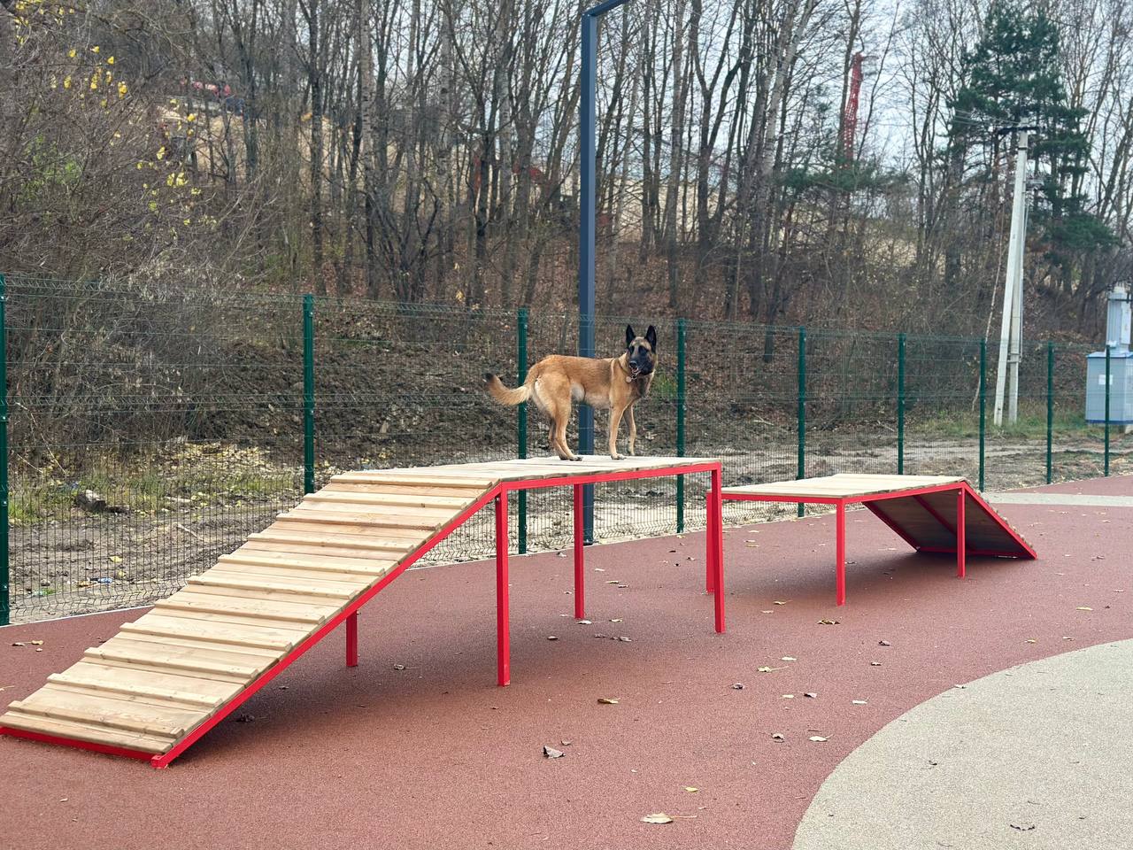 Дмитрий Денисов: Новая площадка для четвероногих друзей — вместо старой Дмитрий Денисов: Новая площадка для четвероногих друзей — вместо старой