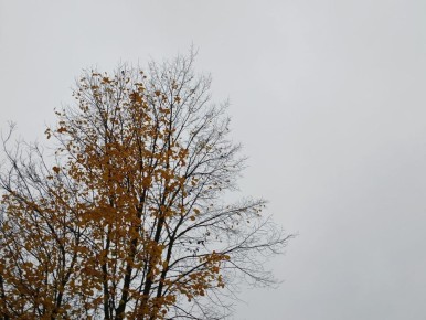 Аэропорт «Калуга» закрыли для полетов