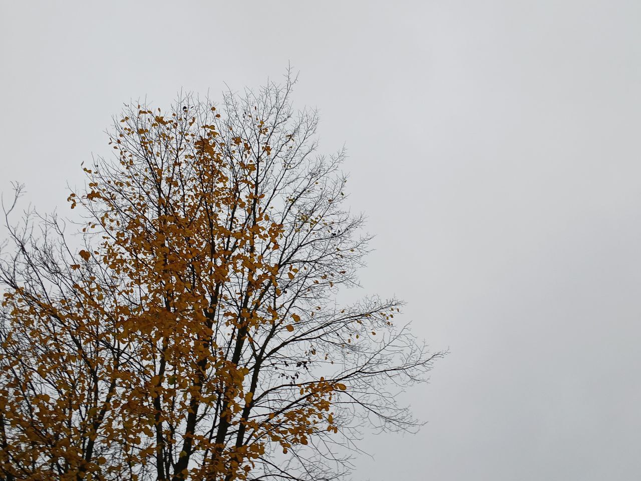 Аэропорт «Калуга» закрыли для полетов