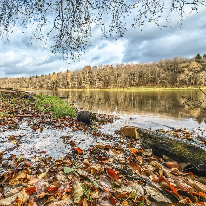 Осень на Верхней Вырке. Фото Владимира Крылова Подписывайтесь на официальный канал Правительства в MAX