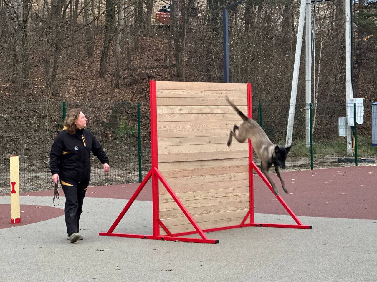 В Калуге обустроили площадку для дрессировки собак В Калуге обустроили площадку для дрессировки собак