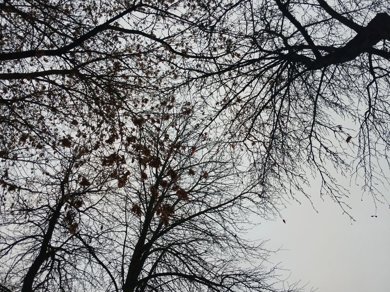 В Калужской области в воскресенье будет пасмурно, но без дождя