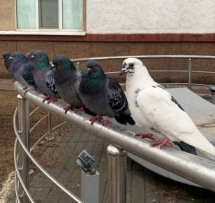 Сегодня прогнозируют переменную облачность, без осадков