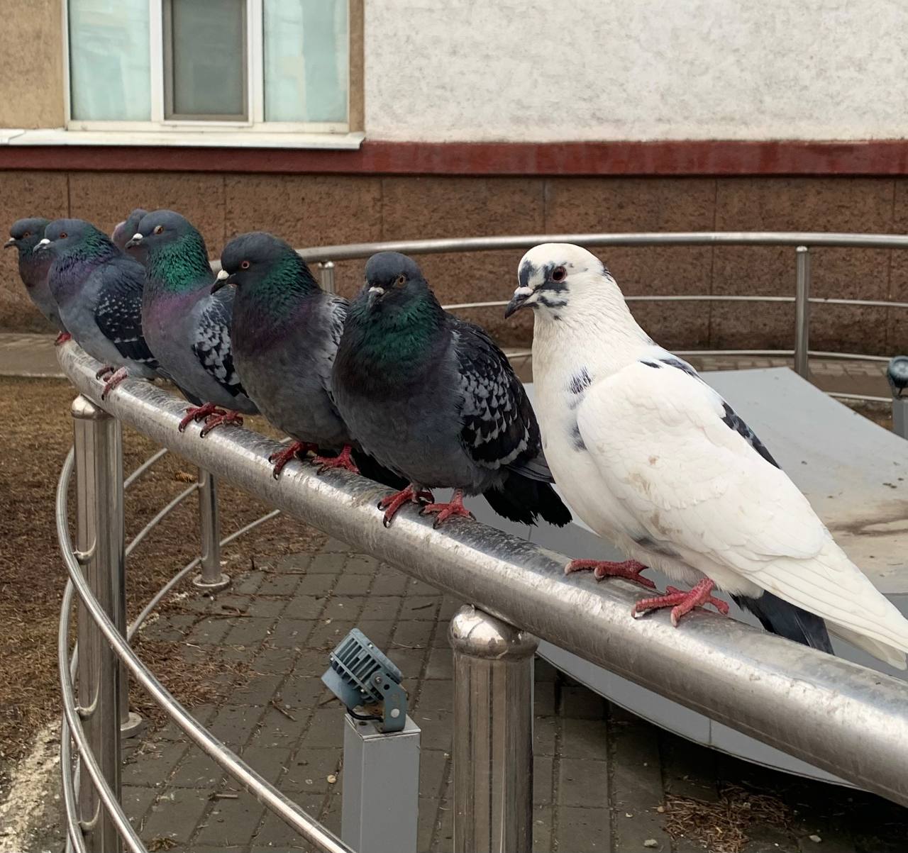 Сегодня прогнозируют переменную облачность, без осадков