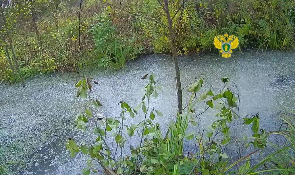 В Калужской области возбуждено уголовное дело по факту массовой гибели рыбы В Калужской области возбуждено уголовное дело по факту массовой гибели рыбы