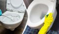 Секреты идеальной чистоты: как восстановить сиденье унитаза без лишних усилий