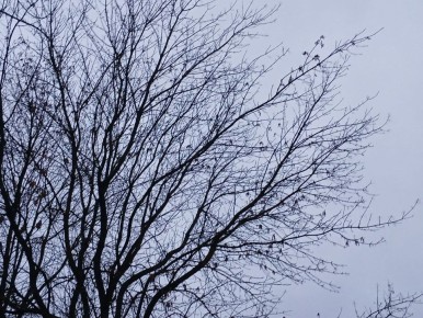 Беспилотники угрожают жителям Калужской области