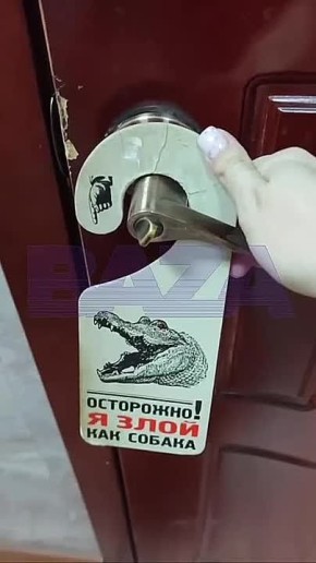 Крокодила держат у себя в офисе журналисты «Обнинск ТВ»