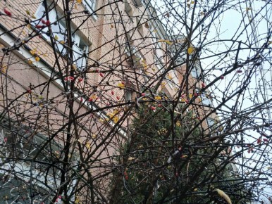 Мокрый снег ожидается в Калужской области