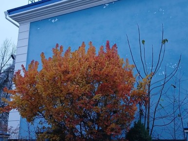 В Калужской области ожидается дождливая погода