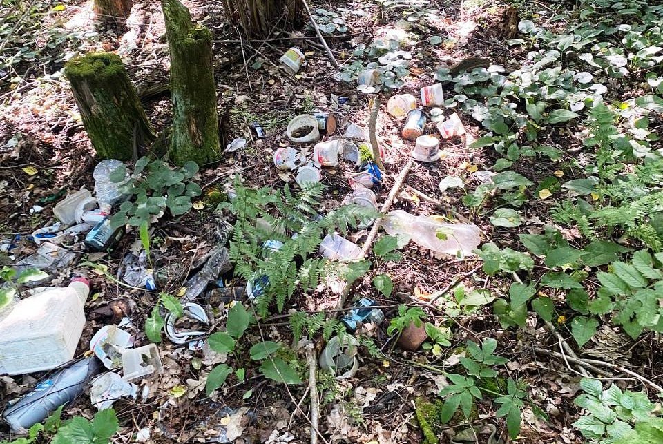 Суд обязал калужских чиновников убрать лесные свалки