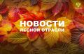 ТАСС: Вокруг городов Приморья засадят деревья на площади 150 га