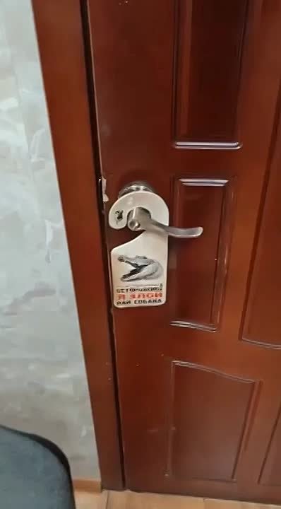 «Как будто НЛО нашли!» Глава обнинского телеканала не будет увольнять сотрудницу, рассказавшую про крокодила в редакции