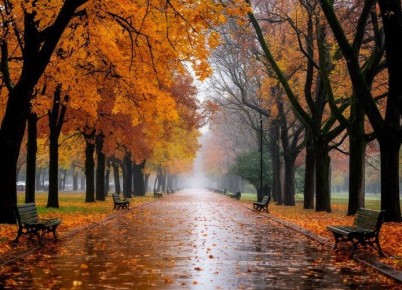 В Калужской области прогнозируют дождливый день с порывистым ветром