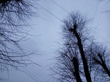 Над Боровским районом Калужской области сбили беспилотник