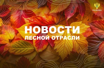 ТАСС: Вокруг городов Приморья засадят деревья на площади 150 га