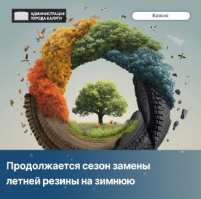 Напоминаем, что на контейнерных площадках строго запрещено складирование отходов, не входящих в состав твердых коммунальных отходов, к которым относятся и автопокрышки