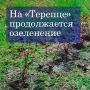 В рамках программы инициативного бюджетирования реализован проект «Вторая очередь благоустройства зелёной зоны» за конечной остановкой в микрорайоне «Терепец»