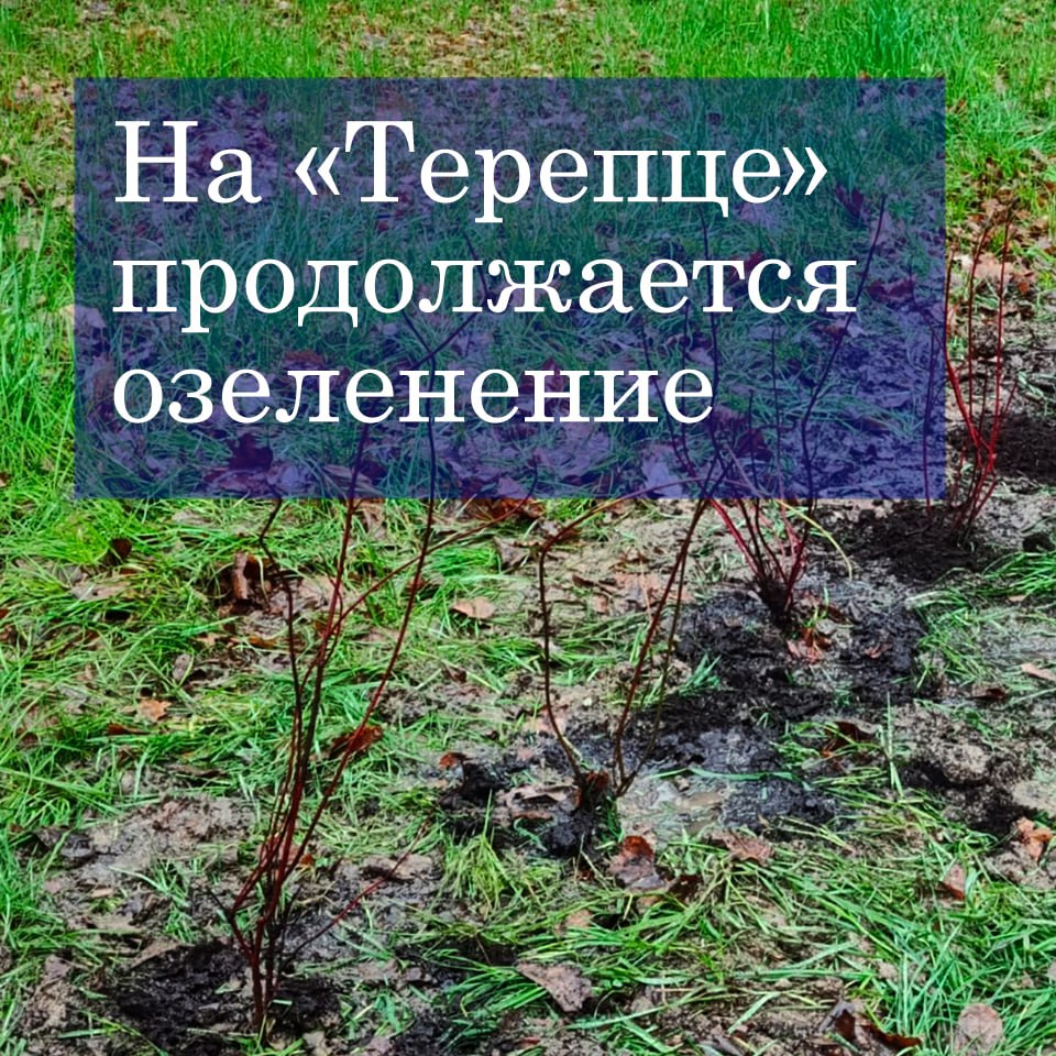 В рамках программы инициативного бюджетирования реализован проект «Вторая очередь благоустройства зелёной зоны» за конечной остановкой в микрорайоне «Терепец»