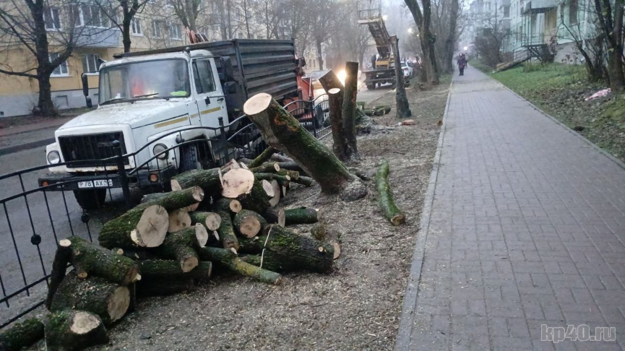 В Калуге вырубают деревья на улице Николо-Козинской В Калуге вырубают деревья на улице Николо-Козинской
