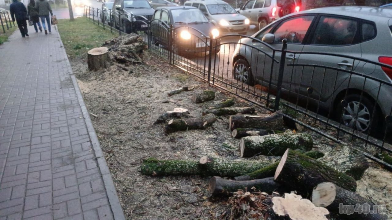 В Калуге вырубают деревья на улице Николо-Козинской