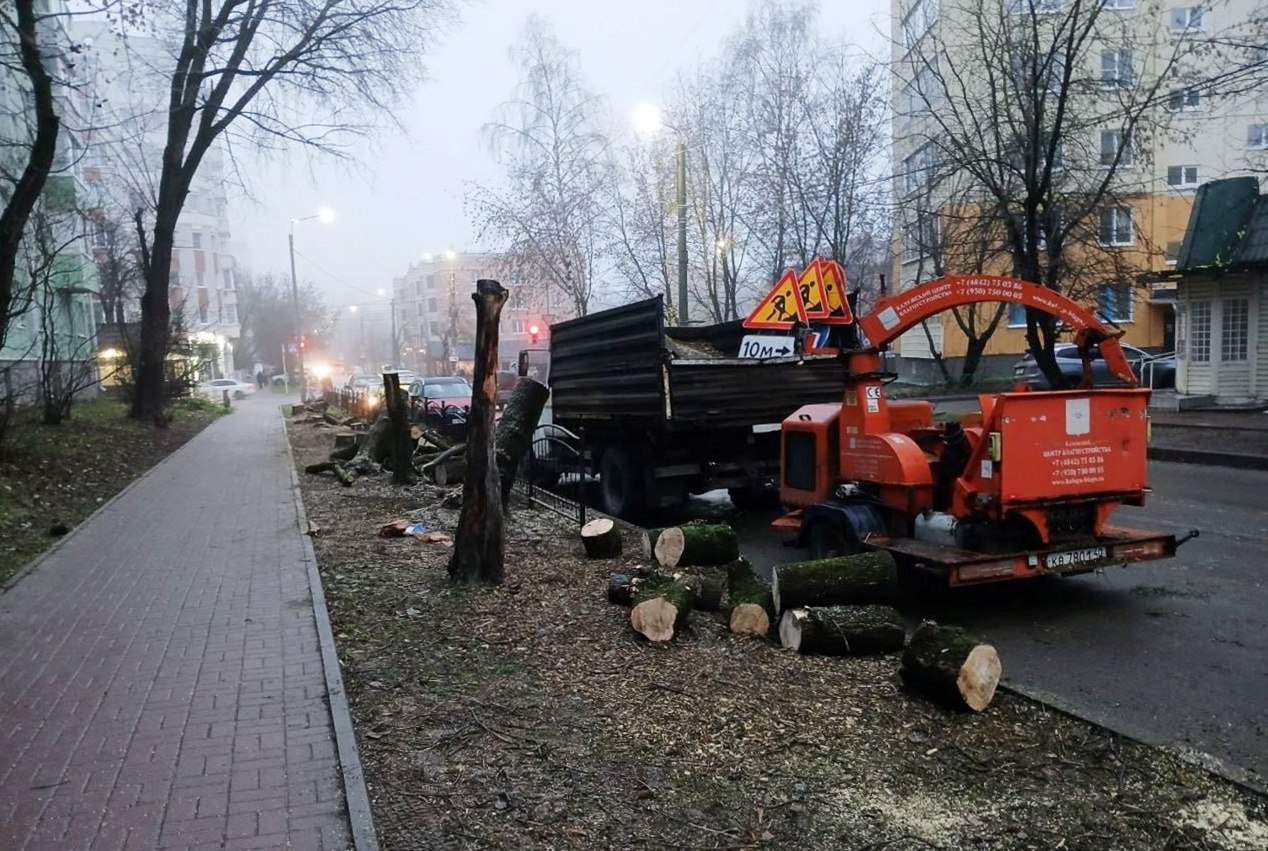 В Калуге вырубают аварийные деревья на Николо-Козинской