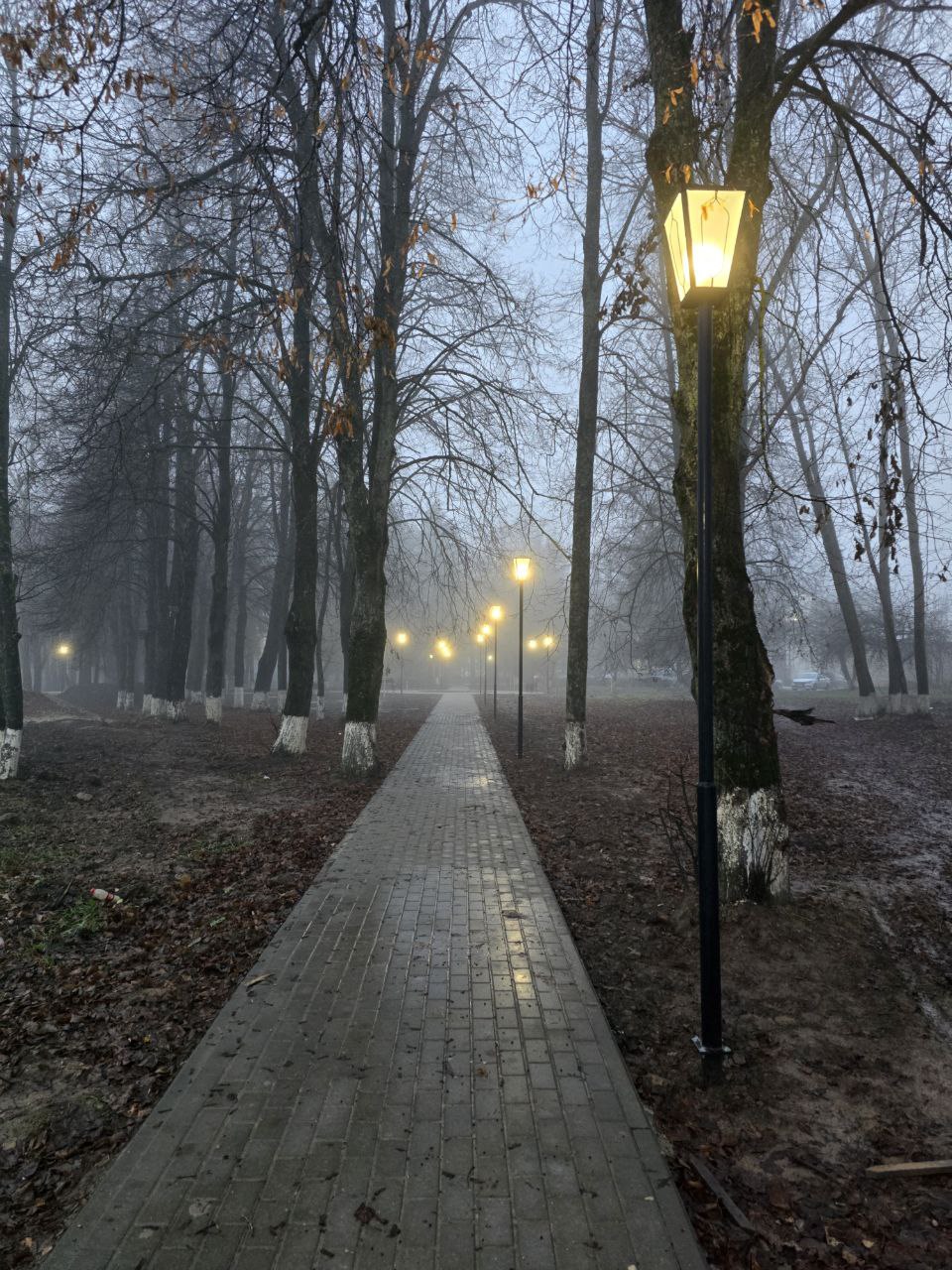 В Бабынино осветили яблоневый сад