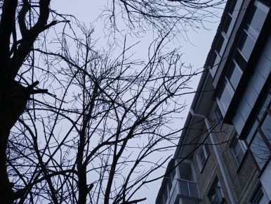 Небо над Калугой открыли для самолетов