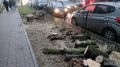 В Калуге вырубают деревья на улице Николо-Козинской