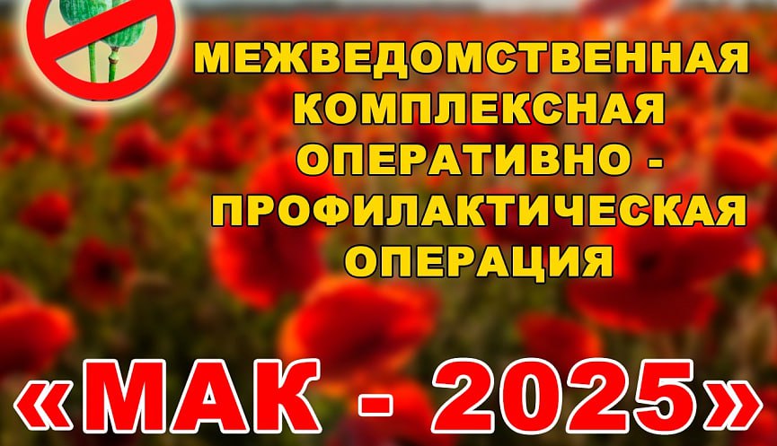 Подведены итоги региональной межведомственной комплексной оперативно-профилактической операции «Мак-2025»
