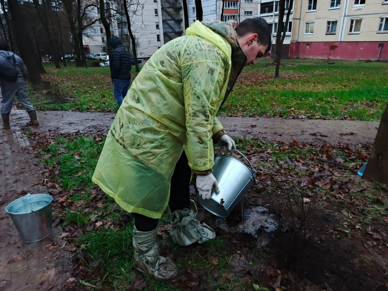 У конечной остановки общественного транспорта На Терепце высадят несколько десятков кустарников и 15 деревьев, сообщили в городской управе